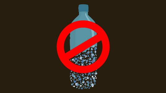 Microplastics: A Silent Assault on Human Health – Part 2
