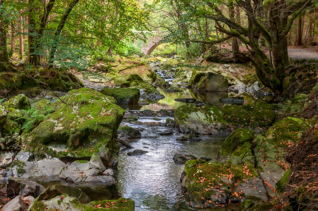 Northern Ireland's Mystical Waters: A Source of Ancient Wisdom and Modern Wellbeing