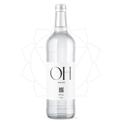 12 Bottles of 528Hz Harmonically Treated Still Spring Water